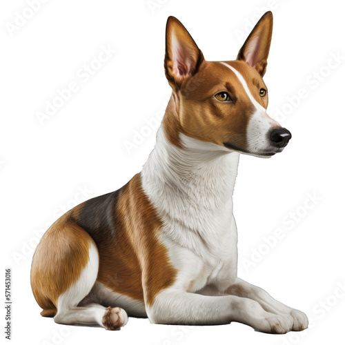 Animal Basenji dog Design Elements Isolated Transparent Background: Graphic Masterpiece, Clear Alpha Channel for Overlays Web Design, Digital Art, PNG Image Format (generative AI
