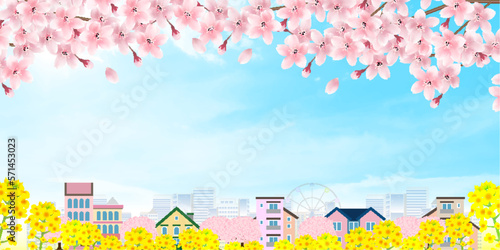 桜　菜の花　建物　背景