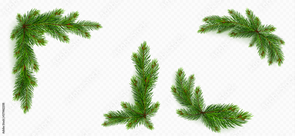 Pine tree branch border realistic vector illustration. Fir twigs with green needles, corner frame isolated on transparent background. Winter holiday evergreen decoration, spruce or cedar elements