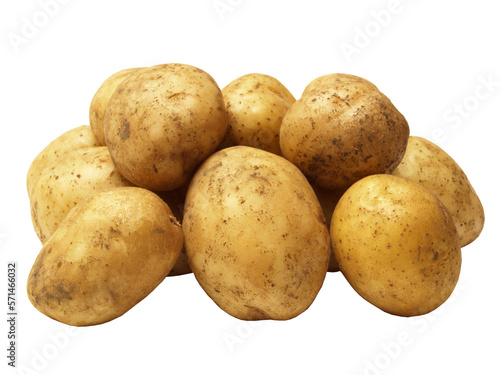 Potato isolated  photo