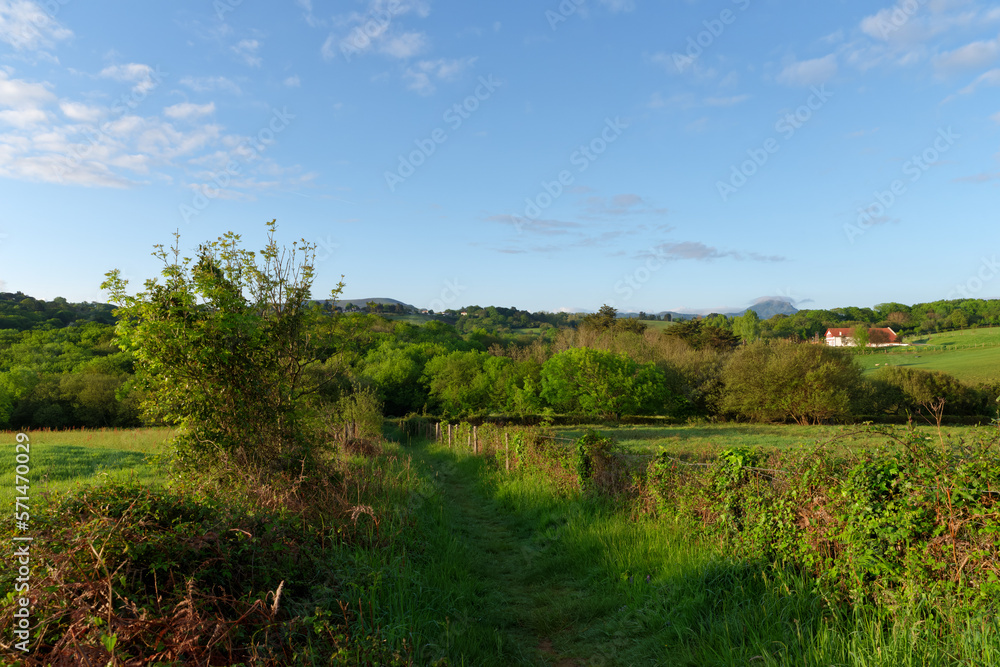 Fototapeta premium Haicabia path in Hendaye country