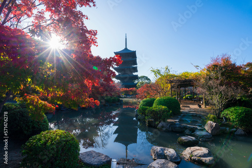 京都　東寺の五重塔と紅葉