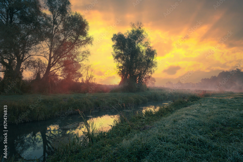 Fototapeta premium Gorgeous sunrise on a green country summer grass field with dew drops on the bank of a small river.