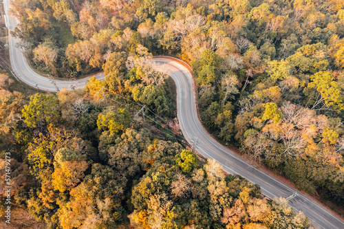 fall trees from above,Overhead view of a road in a forest in autumn