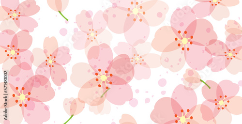 桜　春　花びら　背景
