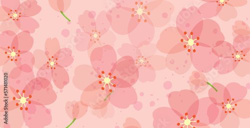 桜　春　花びら　背景
