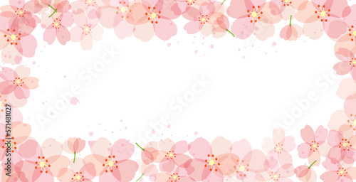 桜　春　花びら　背景
