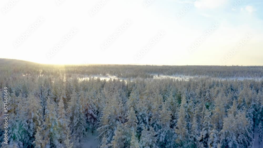 Arctic snow land during sunset fly over snowy forest in backcountry_part2 Arctic snow land during sunset fly over snowy forest in backcountry_part2