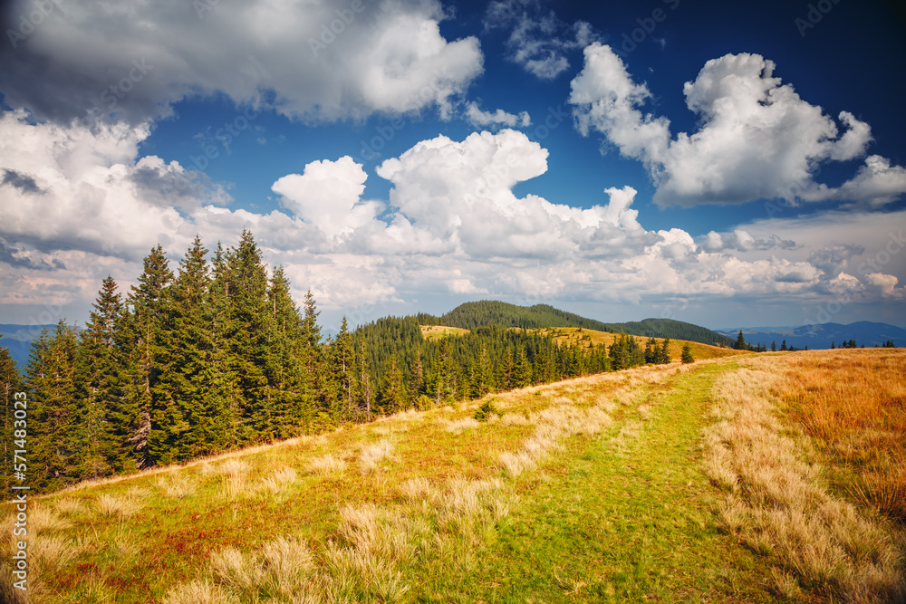 A magical mountain landscape on a sunny day. Carpathian mountains, Ukraine. A magical mountain landscape on a sunny day. Carpathian mountains, Ukraine.