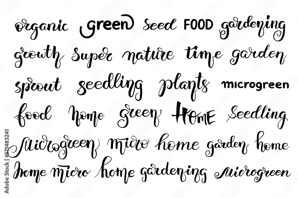 Microgreens seeds lettering. Set Vector doodle illustration. Calligraphy text objects