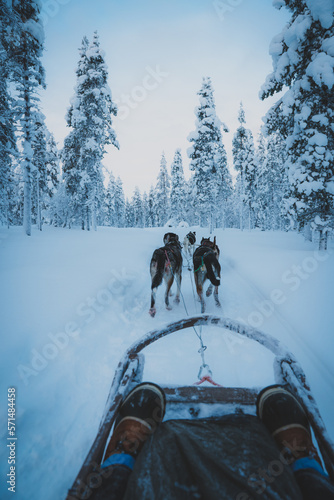 sitting on a sled driven by dogs or huskies thorugh a ice cold snowy winter landscape photo