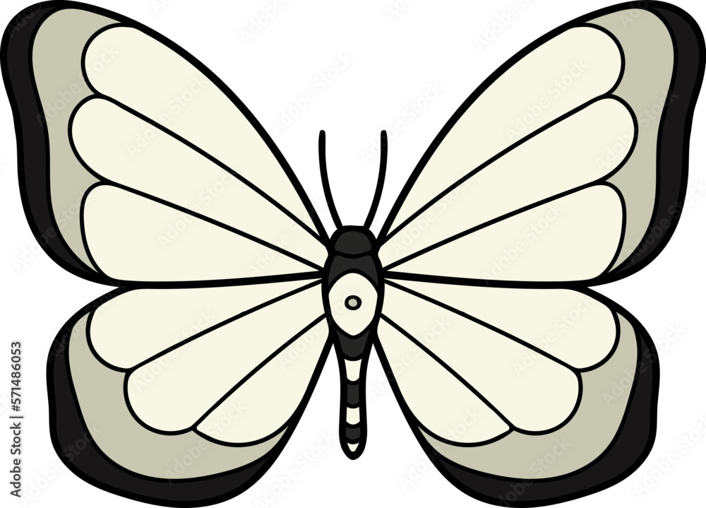 Butterfly illustration. Vector illustration. Live nature.
Butterfly illustration. Vector illustration. Live nature.