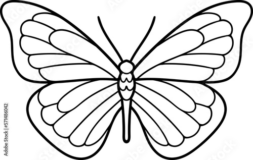 Butterfly line art illustration. Vector illustration. Coloring. 