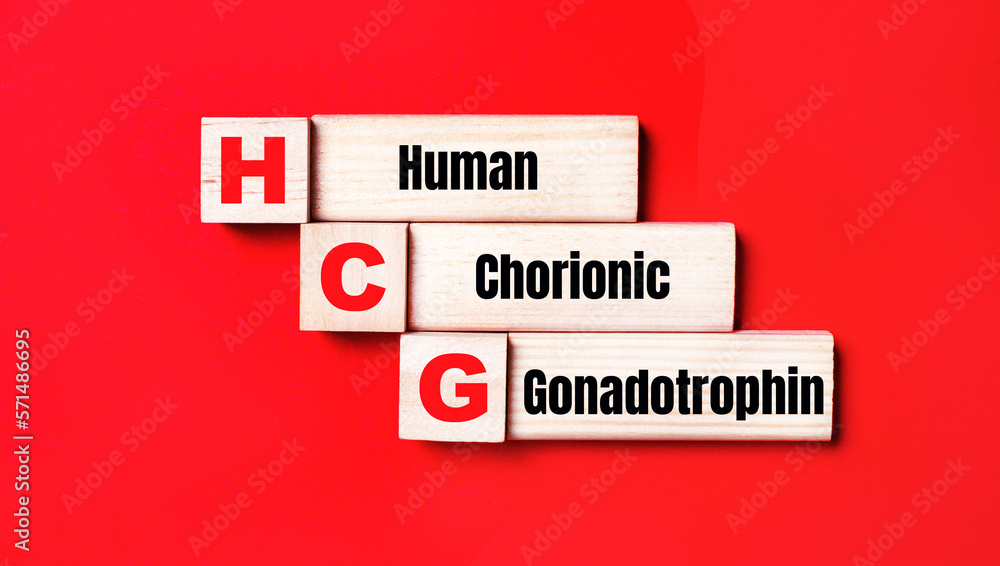 On a bright red background, wooden cubes and blocks with the text HCG Human Chorionic Gonadotrophin. Manufacturing of wooden toys. On a bright red background, wooden cubes and blocks with the text HCG Human Chorionic Gonadotrophin. Manufacturing of wooden toys.