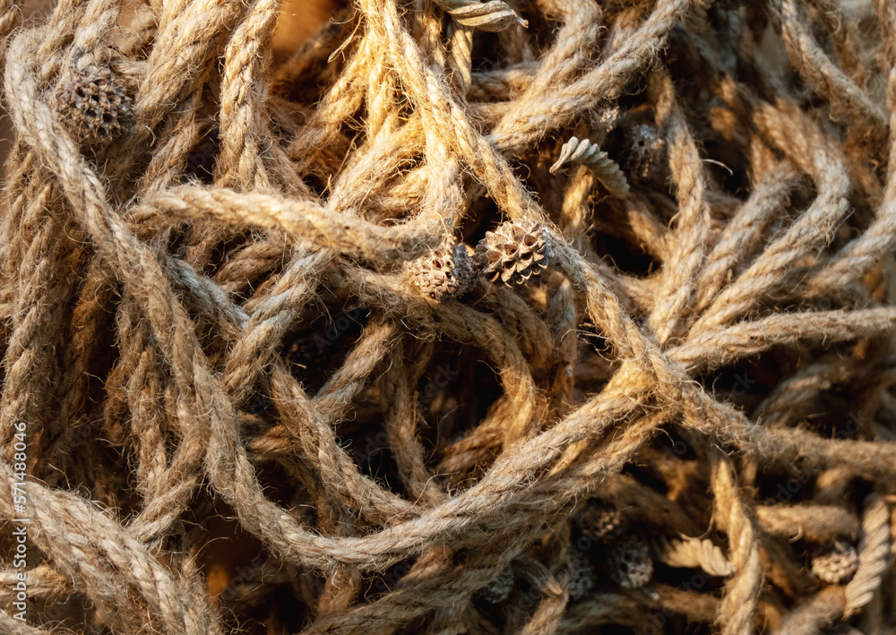 Rope texture. Rustic background. Twine strand pile. Beige brown frayed twisted cotton cord conifer cones abstract decorative composition. Rope texture. Rustic background. Twine strand pile. Beige brown frayed twisted cotton cord conifer cones abstract decorative composition.