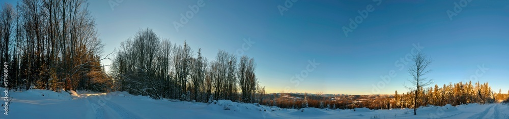 Panorama of pine trees in the mountains covered with fresh snow. HDR style. Panorama of pine trees in the mountains covered with fresh snow. HDR style.