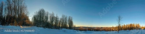 Wallpaper Mural Panorama of pine trees in the mountains covered with fresh snow. HDR style. Torontodigital.ca