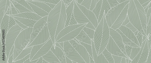 Botanical leaf line art wallpaper background vector. Luxury natural hand drawn foliage pattern design in minimalist linear contour simple style. Design for fabric, print, cover, banner, invitation.