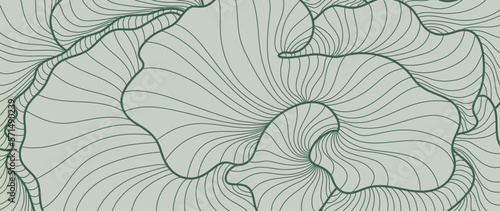 Tropical leaf line art background vector. Abstract botanical floral petal line art pattern design in minimalist linear contour style. Design for fabric, print, cover, banner, decoration, wallpaper.