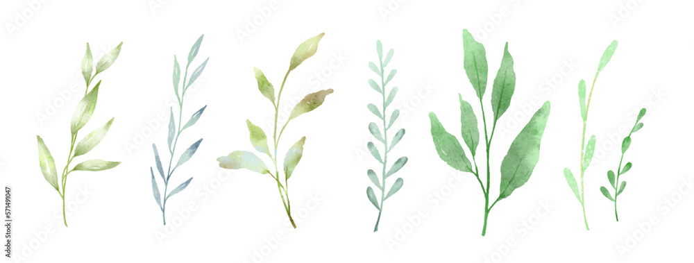 Watercolor green flower branch, leaf, plant elements. Vector botanical collection of delicate foliage isolated on white background.