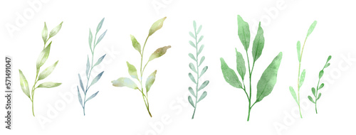 Watercolor green flower branch, leaf, plant elements. Vector botanical collection of delicate foliage isolated on white background.
