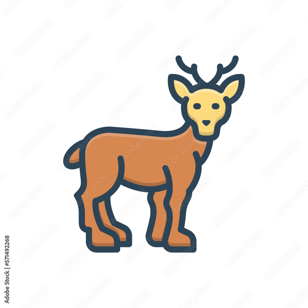 Obraz premium Color illustration icon for doe