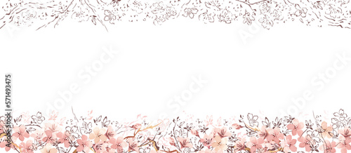 桜　春　水彩　線画　背景　フレーム　ベクター
