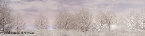 Winter Woodland with Snow covered Trees in a Pale Mist. Seasonal Banner. photo