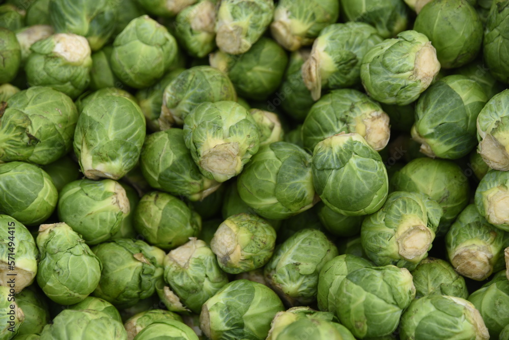 Frischer, grüner Rosenkohl auf einem Wochenmarkt Frischer, grüner Rosenkohl auf einem Wochenmarkt