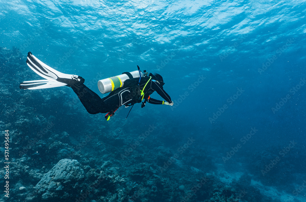 scuba diver exploring the great barrier reef in Australia scuba diver exploring the great barrier reef in Australia