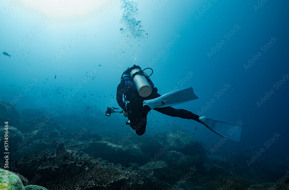 diver exploring the clear waters of the Gulf of Thailand diver exploring the clear waters of the Gulf of Thailand