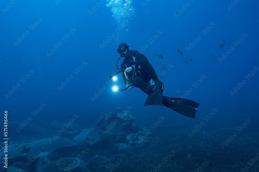 diver floating in the clear waters of the Gulf of Thailand diver floating in the clear waters of the Gulf of Thailand