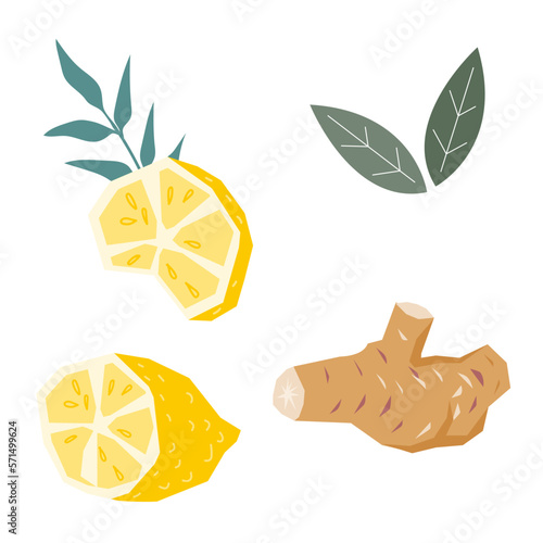 Lemon and ginger roots set of ingredients for drinks, flat vector illustration isolated on white background. Organic ingredients for vitamin hot tea and refreshing drink. Natural remedies for cold.