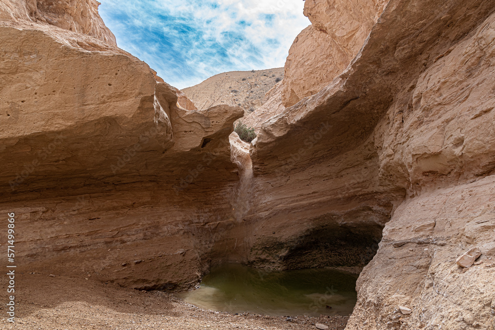 canyon of Havarim river in negev desert