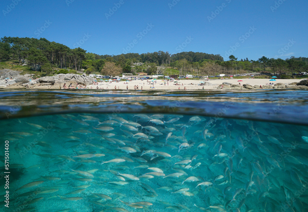 Atlantic coast beach in summer with fish underwater in the ocean, Spain, split view over and under water surface, Galicia, Rias Baixas, Bueu