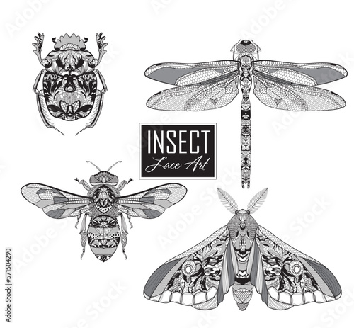 insects. beetle, moth, dragonfly, bee. Vector illustration.