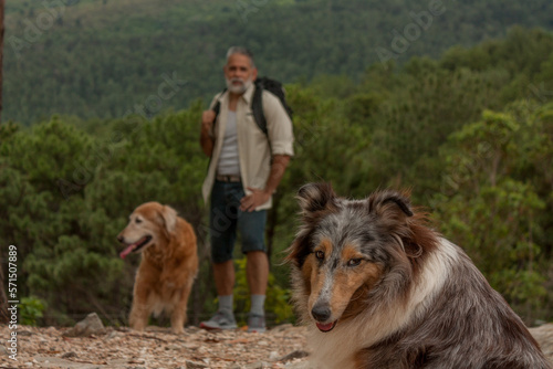 Walk in the mountains with dogs © Cavan