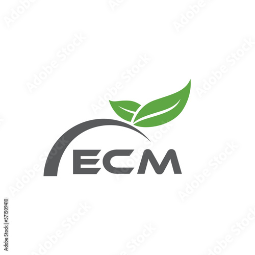 ECM letter nature logo design on white background. ECM creative initials letter leaf logo concept. ECM letter design. photo