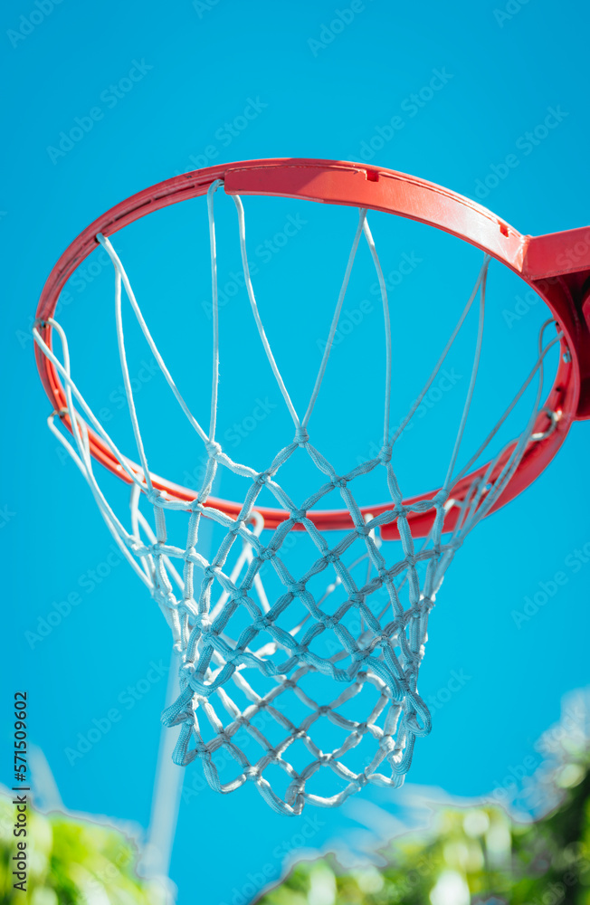 basketball hoop against sky wynwood
