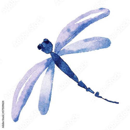 Dragonfly watercolor digital illustration.