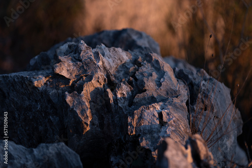 Textured coastal rocks at sunset, close-up