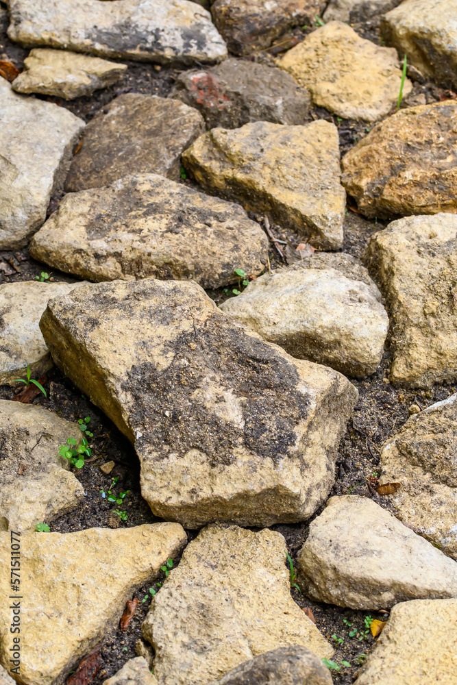 Ścieżka utworzona z dużych płaskich kamieni ułożonych jeden przy drugim obok siebie