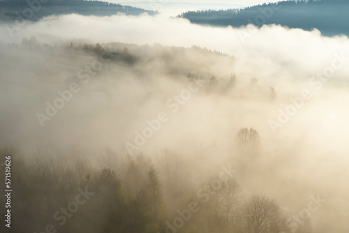 Fog covers the mountain forest. Mountain inversion. Highlands under the fog. Foggy sunrise in the mountains. Aerial view of fog-covered forest. © Grzegorz