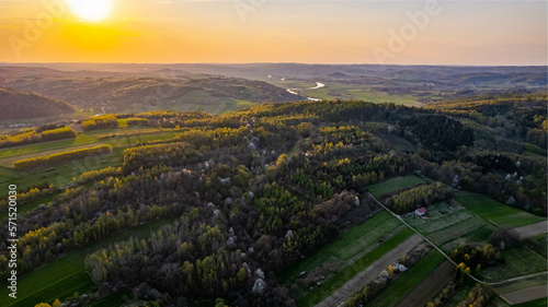 Sunset light on spring forest. Sunset colors on aerial view of forest. Autumn colors forest.