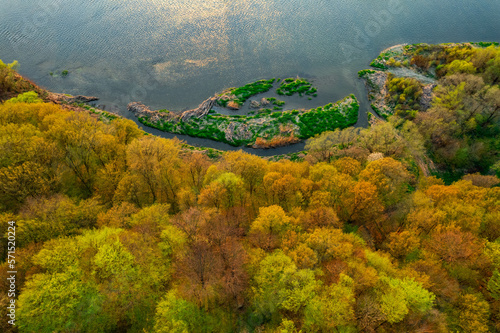 Sunset light on spring forest. Sunset colors on aerial view of forest. Autumn colors forest.