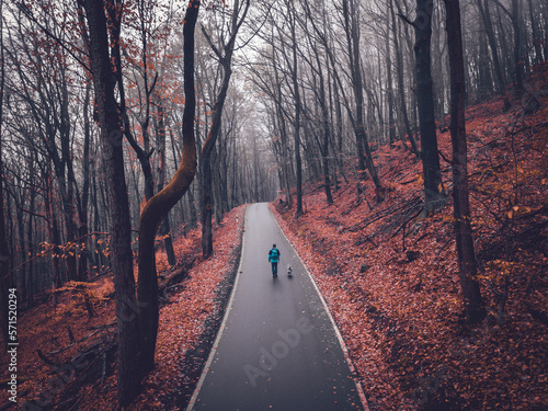 man and his dog hike at a road in the forest autumn season indian summer