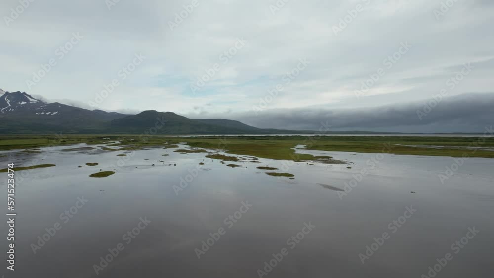 Drone approaches bears hunting salmon in a shallow lagoon of in the Aleutian Islands, Alaska. Drone approaches bears hunting salmon in a shallow lagoon of in the Aleutian Islands, Alaska.