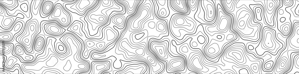 Gray vector background, banner. Imitation of a geographical map, contour lines.