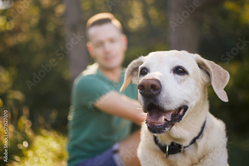 Man with his happy dog sitting in grass under tree. Pet owner enjoying trip with his labrador retriever during sunny summer day..