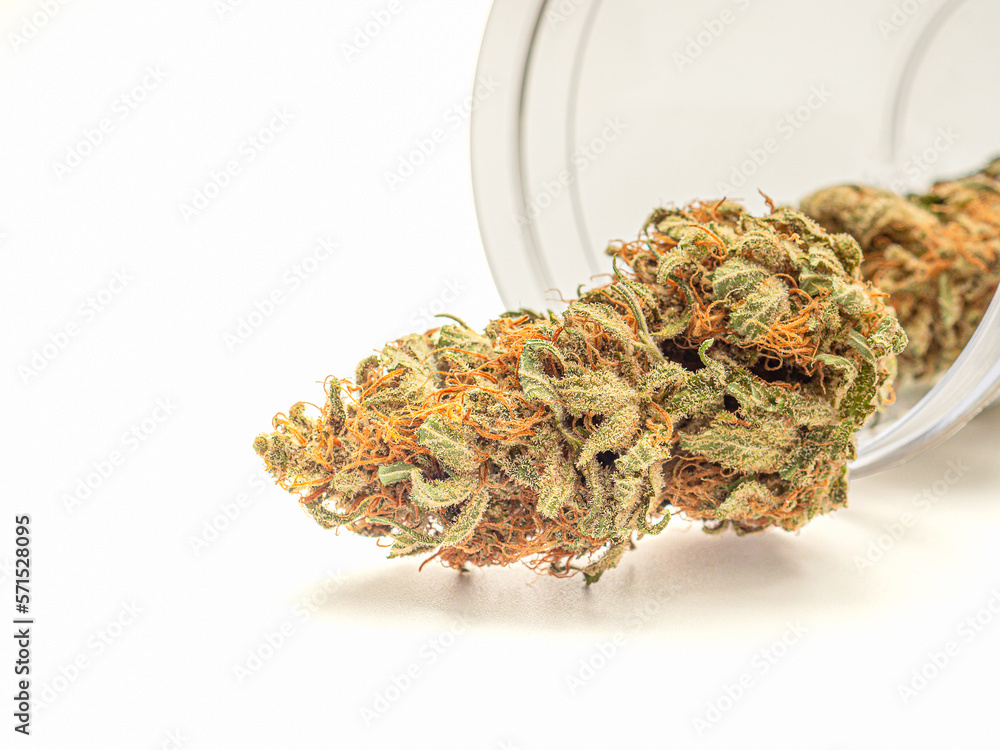 Dry marijuana buds outside of a jar on a white background Dry marijuana buds outside of a jar on a white background